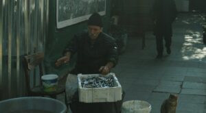 Rüyada Kedi Görmek Ne Anlama Gelir?