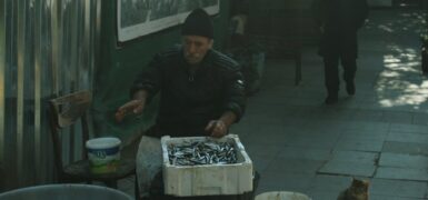 Rüyada Kedi Görmek Ne Anlama Gelir?