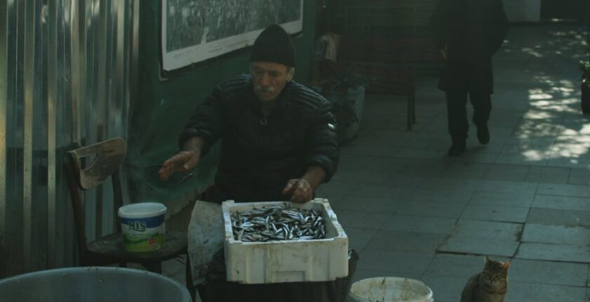 Rüyada Kedi Görmek Ne Anlama Gelir?