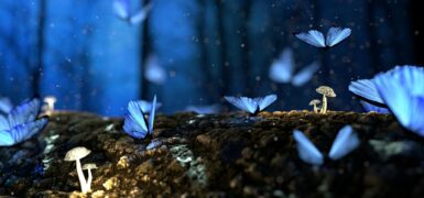 Rüyada Kaçırıldığını Görmek