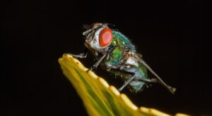 Rüyada 10 Sayısı Görmek