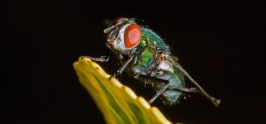 Rüyada 10 Sayısı Görmek