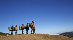 Rüyada 112’yi Aramak Rüyada 112’yi Aramak