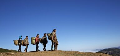 Rüyada 112’yi Aramak