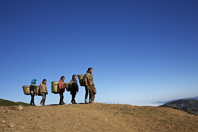 Rüyada 112’yi Aramak