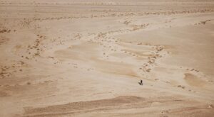 Rüyada 5 Rakamı Görmek