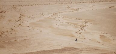 Rüyada 5 Rakamı Görmek