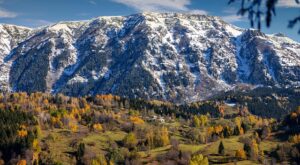 Rüyada Ağaç Yıkılması