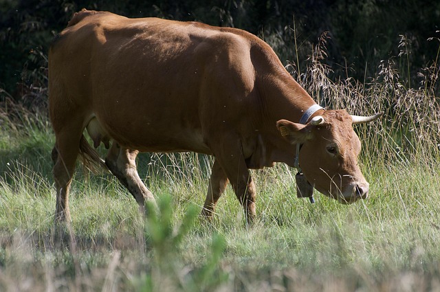 Rüyada Baca Deliği Görmek