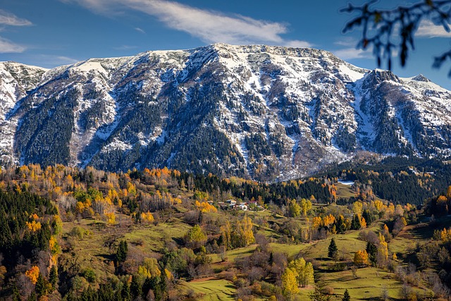 Rüyada Beyaz Fil Görmek