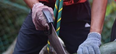 Rüyada Bina Devrilmesi