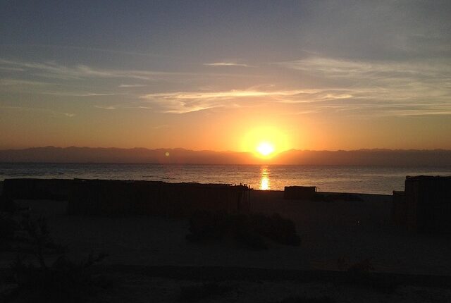 Rüyada Birine Hakkını Helal Etmemek