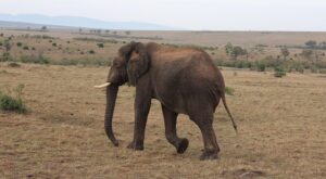 Rüyada Birine Masaj Yapmak