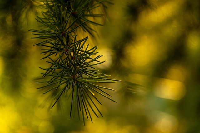 Rüyada Birine İğne Yapıldığını Görmek