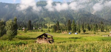 Rüyada Birini Kel Görmek