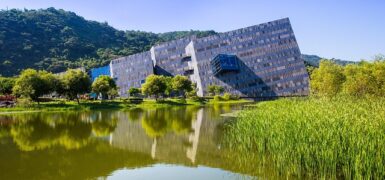 Rüyada Birini Yılan Soktuğunu Görmek