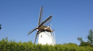 Rüyada Elden Kurt Çıkması Rüyada Elden Kurt Çıkması