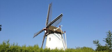 Rüyada Elden Kurt Çıkması