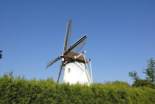 Rüyada Elden Kurt Çıkması
