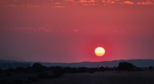 Rüyada Güneş Gözlüklü Erkek Görmek