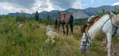 Rüyada Güneş Ve Ay Tutulması Görmek