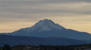 Rüyada Hasan Hüseyin İsmini Duymak