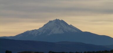 Rüyada Hasan Hüseyin İsmini Duymak