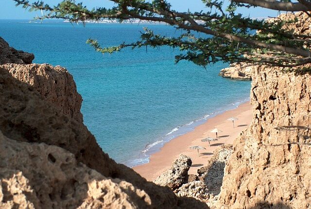 Rüyada Hasta Bir Kadına Yardım Etmek