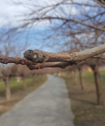 Rüyada Kahverengi Cüzdan Görmek