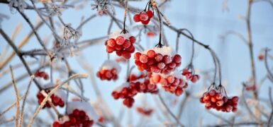 Rüyada Kalın Kaşlı Birini Görmek