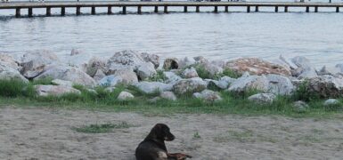Rüyada Kötülük Yapan İnsanlar Görmek