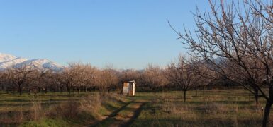 Rüyada Küçük Bebeğin Konuşması