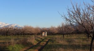 Rüyada Küçük Tuvaletini Yapmak
