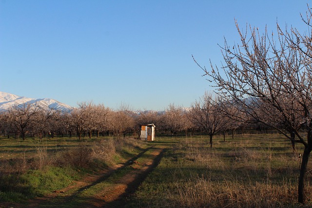 Rüyada Küçük Tuvaletini Yapmak