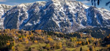 Rüyada Kırmızı Beyaz Çiçek Görmek