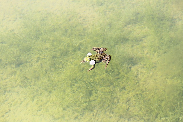 Rüyada Kızıl Saç Görmek