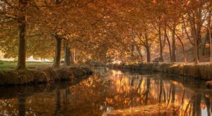 Rüyada La İlahe İllallah Diye Bağırmak