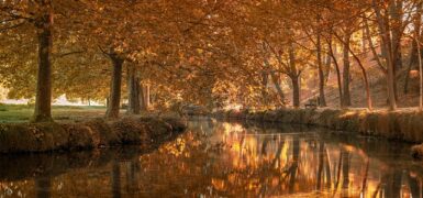 Rüyada La İlahe İllallah Diye Bağırmak