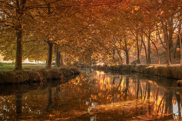 Rüyada La İlahe İllallah Diye Bağırmak