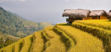 Rüyada Oruçluyken Su İçmek