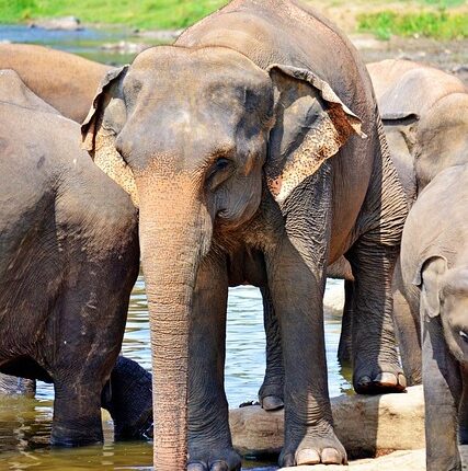 Rüyada Oya Boncuğu Görmek Rüyada Oya Boncuğu Görmek