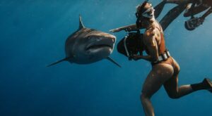 Rüyada Köpekbalığı Tarafından Isırılmak