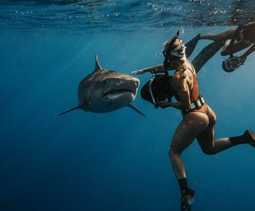 Rüyada Köpekbalığı Tarafından Isırılmak