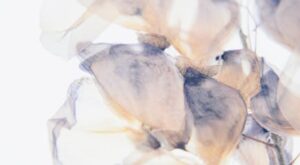 Rüyada Çiçekli Porselen Tabak Görmek