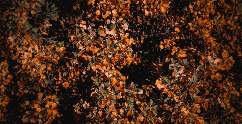 Rüyada Ayak Altı Görmek