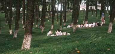 Rüyada Birine Et Yedirmek