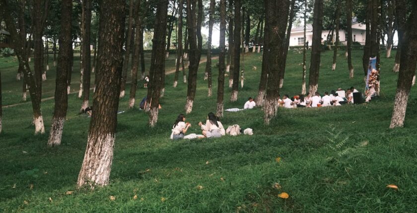 Rüyada Birine Et Yedirmek