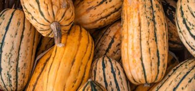 Rüyada Sepette Yumurta Görmek