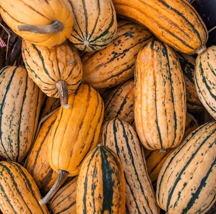 Rüyada Sepette Yumurta Görmek