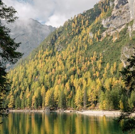 Rüyada Sevgilinin Eve Gelmesi